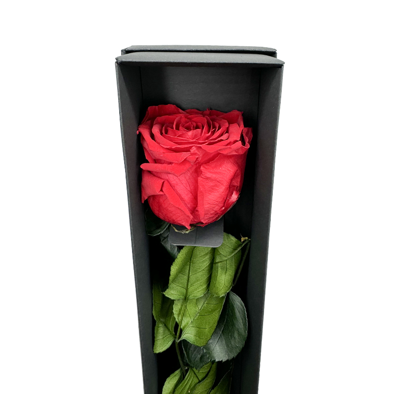 rosa stabilizzata rossa con stelo flowercube ars nova ideafiori 2