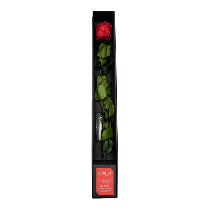 rosa stabilizzata rossa con stelo flowercube ars nova ideafiori