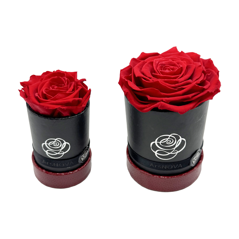 rosa stabilizzata rossa flowerbox black red baccara rose ideafiori 4